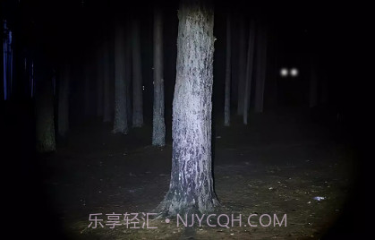 永远不要尖叫v2.0.9截图