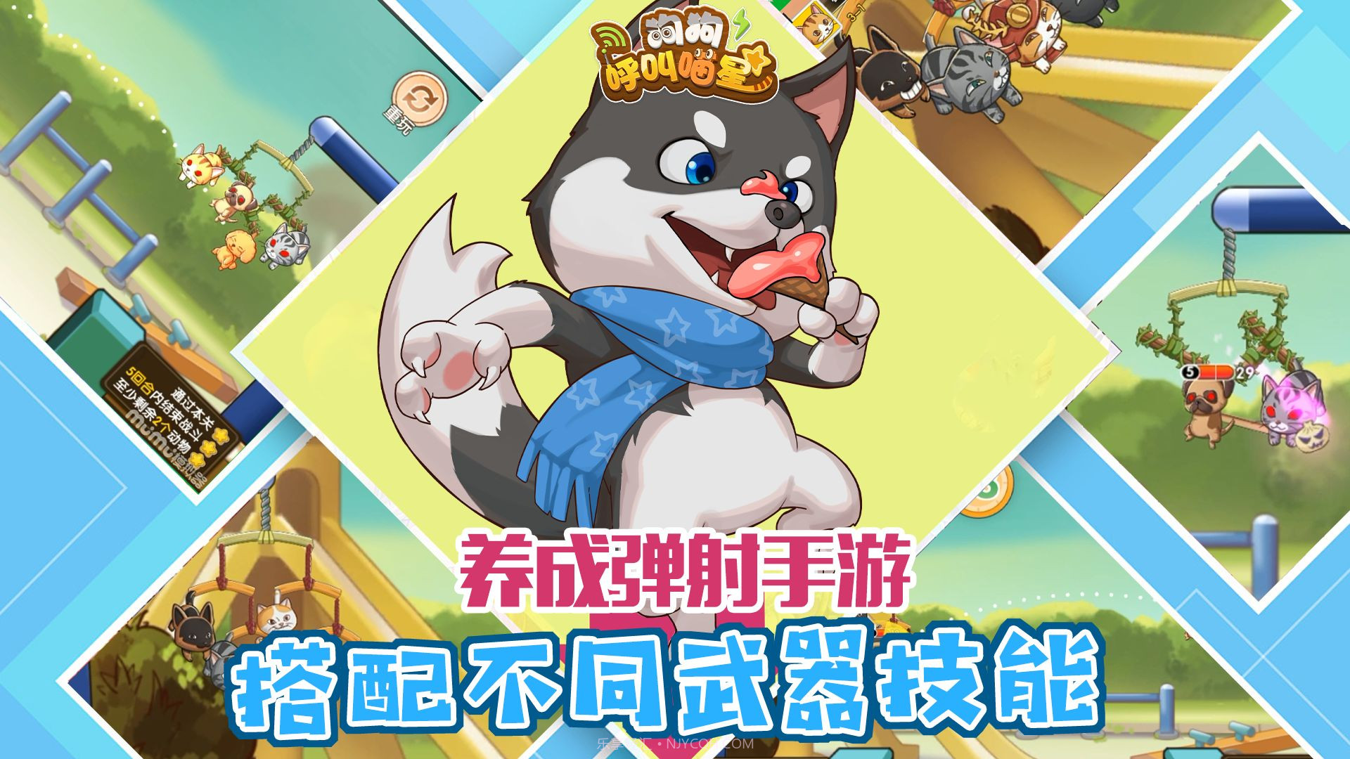 狗狗呼叫喵星测试服v3.0.7截图