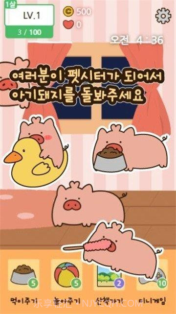 饲养小猪v1.0.16截图