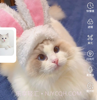 绒语v1.3.15截图