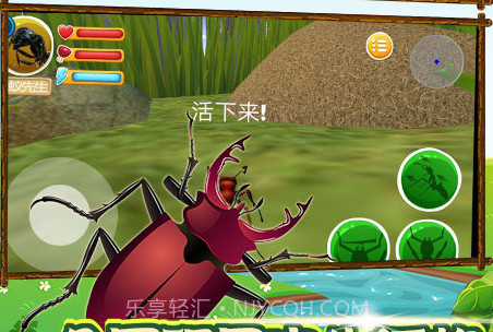 探索昆虫世界v1.2.11截图