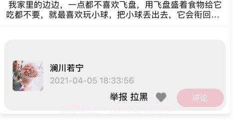 啾啾萌狗v1.11截图