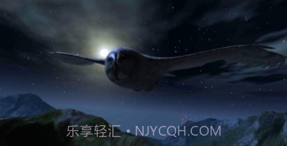 猫头鹰狩猎之旅v1.17截图