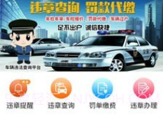 仨文违章查询V1.1.9截图