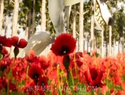 逃离游戏小红帽v1.0.14截图