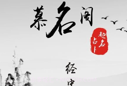 慕名阁起名v1.8截图