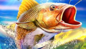 钓鱼王者最新版v1.2.9截图