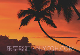 照片水印v 2.31.18截图