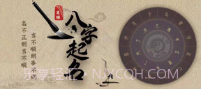 灵瑞起名v1.12截图