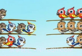 百鸟齐飞v1.0.12截图