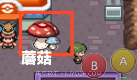 口袋妖怪去吧伊布6.0.1v1.1.11截图