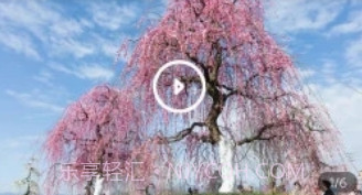 问花之家v1.0.9截图