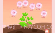 爱豆空间v1.0.10截图