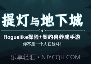 提灯与地下城辅助器v3.24.00v3.24.11截图