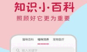 小猫翻译器v1.0.19截图