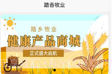 踏乡牧业最新版本V1.0.9截图