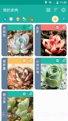 多肉成长记v3.2.15截图