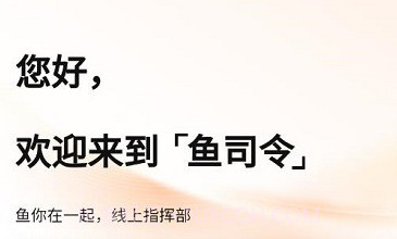 鱼司令v3.1.12截图