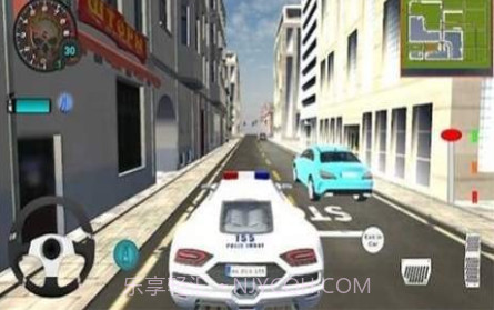 真正的豪华警车v1.16截图