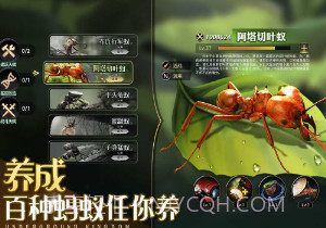 小小蚁国单机版v1.55.15截图