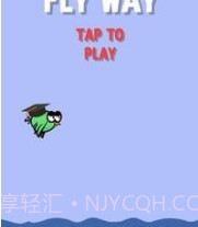 空中的飞鸟v1.0.20截图