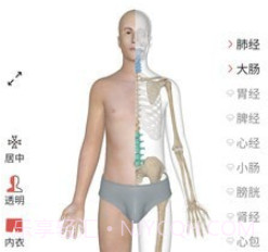 经络穴位3Dv2.1.17截图