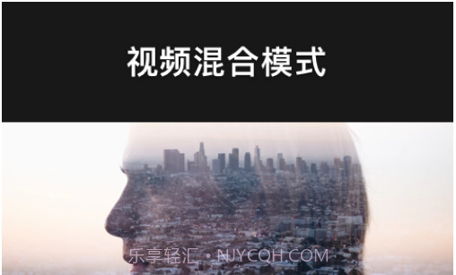VivaCutv1.7.16截图