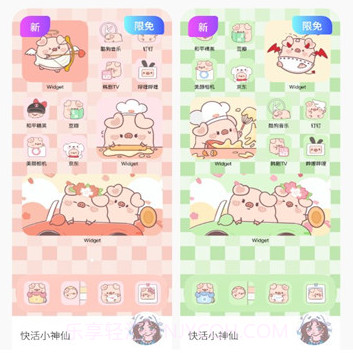 colorful widgetv2.6.12截图