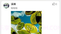 K歌刷粉V2.4.12截图