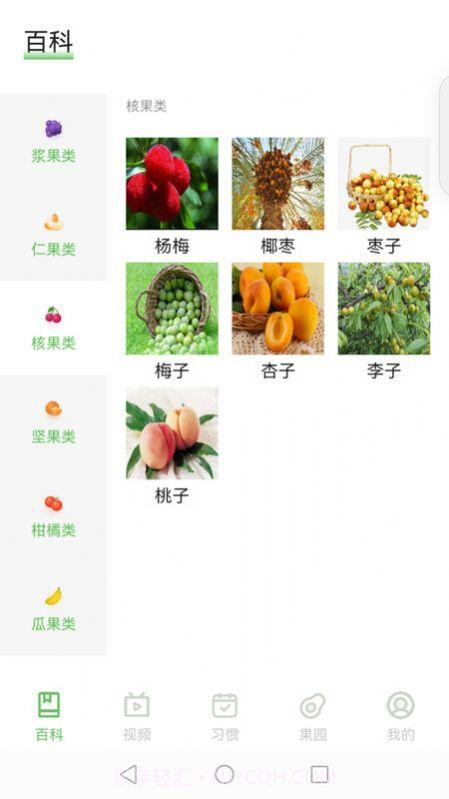 智慧百科v0.7截图
