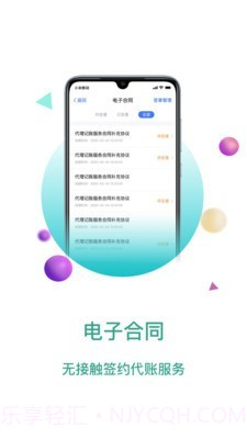 大账房v4.1.17截图