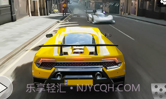 极限地平线飞v1.20截图