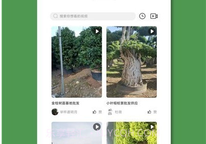 好苗木v2.19截图