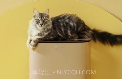 petgugu智能养宠平台v2.0.16截图