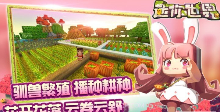 迷你世界助手盒子appv3.12截图