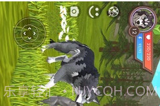 3D动物模拟器13.16截图