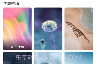 最美主题v1.15截图