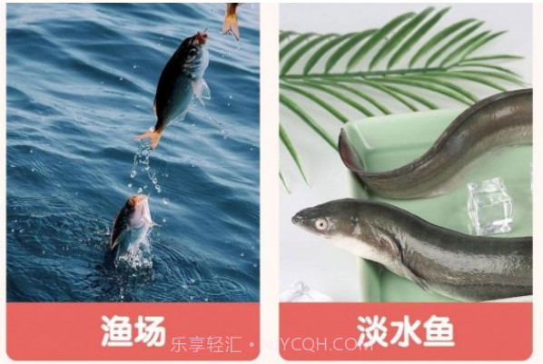 萌龙乐园v1.0.15截图