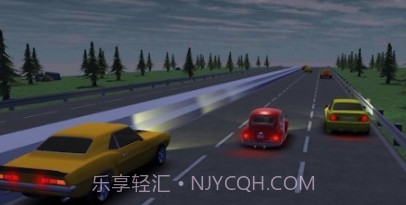 疯狂的赛车司机v0.22截图