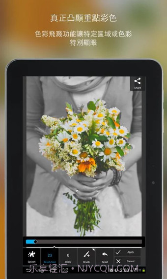 PixlrExpress最新版v1.02截图