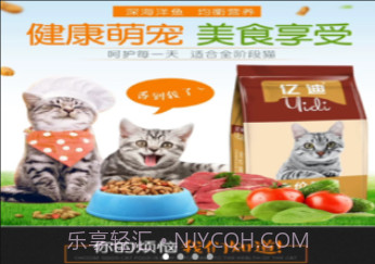 猫社区v1.13截图