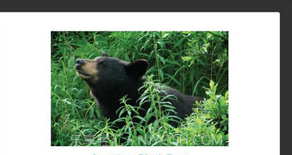 STUDYBLUE Flashcardsv5.14截图