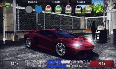 最终拉力赛无限金币v0.21截图