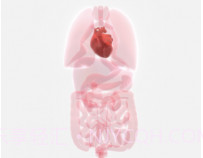 life生命模拟器汉化版v1.1.19截图