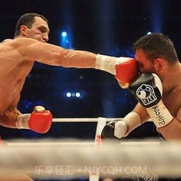 拳击WWE游戏v2.21截图