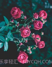 易压缩v1.1.16截图