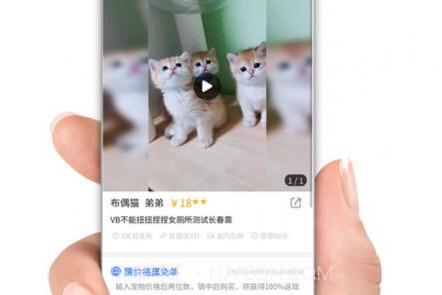 集咪舍宠物会员商城v1.0.17截图