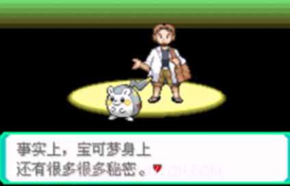 口袋妖怪究极绿宝石5.3v1.19截图