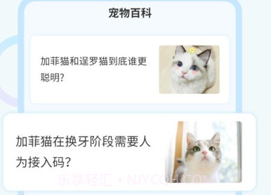 猫咪交流翻译器Appv2.5.15截图