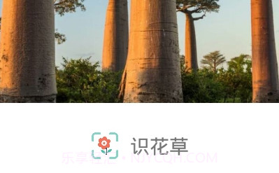 识花草v1.0.22截图